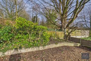 Photo 19- click for photo gallery